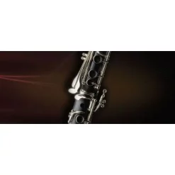 Best Sale ⌛ Vienna Symphonic Vienna Woodwinds Bundle Full - Electronic Delivery 👍