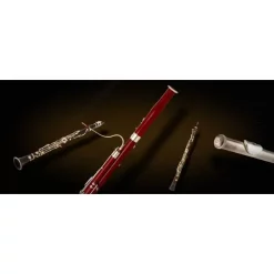 Coupon 🎉 Vienna Symphonic Woodwinds I Upgrade To Full - Electronic Delivery 💯