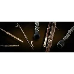 Best deal 🥰 Vienna Symphonic Woodwinds II Full - Electronic Delivery 🌟