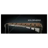 Brand new 😍 Vienna Symphonic Xylophone UPG To Full- Electronic Delivery 🎉