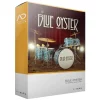 Best reviews of ⌛ XLN Audio Addictive Drums 2: Blue Oyster - Electronic Delivery ⭐